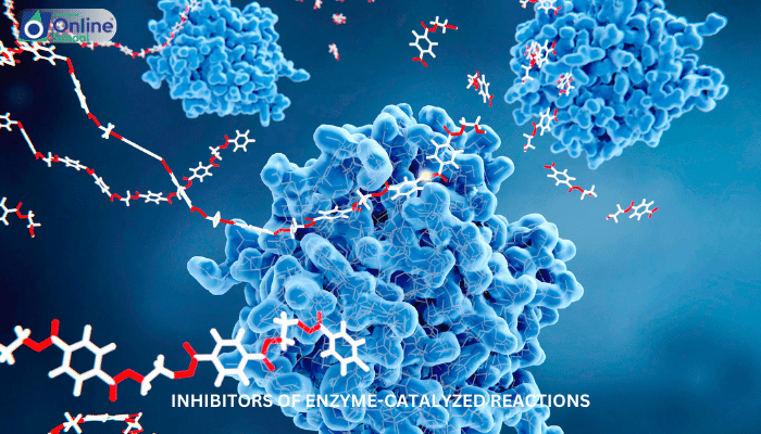 Lesson 08: Inhibitors of Enzyme-Catalyzed Reactions